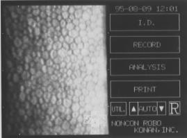 ����p������