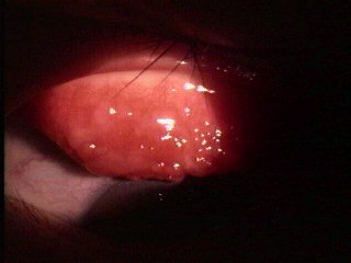 �\�t�g�E�R���^�N�g�������̋������������